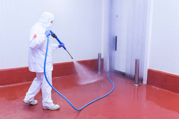 Best Roof Washing  in Pinehurst, TX